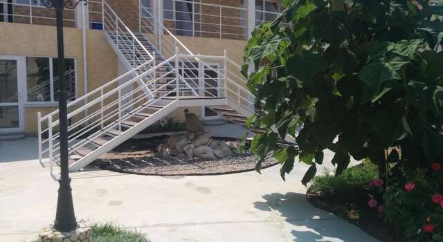 Гостевой дом Sunny City Заозёрное-43